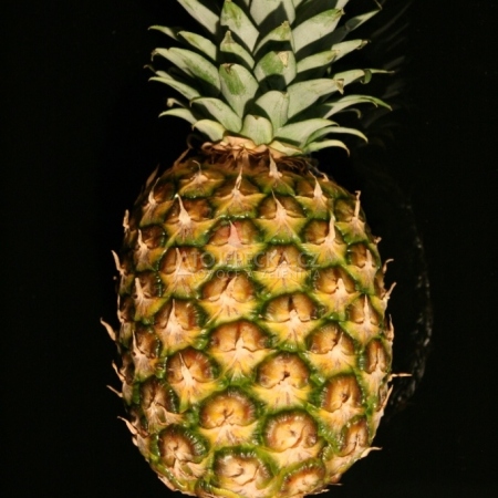 Ananas Super Sweet - hlavní obrázek