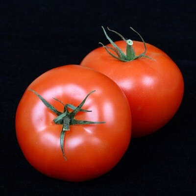 Rajčata kulatá 1 kg