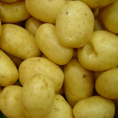 Brambory prané Agata bal. 2 kg
