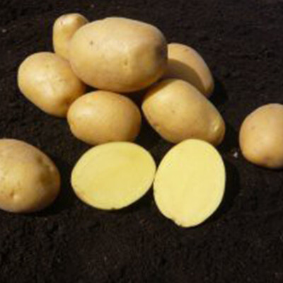 Brambory Marabel 1 kg